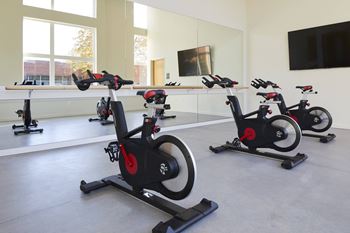 a group of spin bikes in a gym